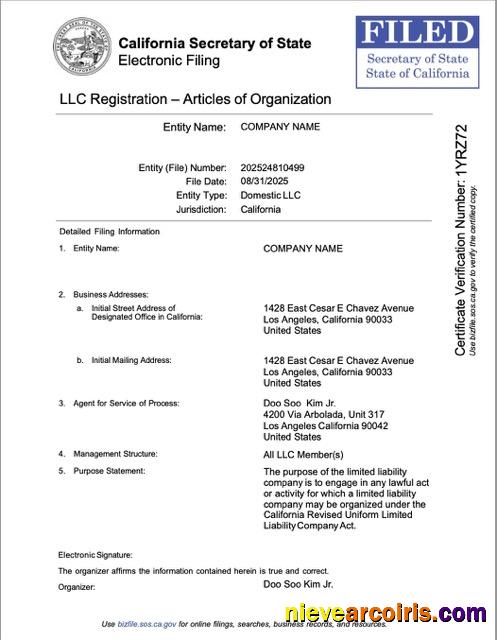 USA California LLC registration